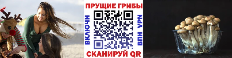 блэк спрут рабочий сайт  Тейково  Псилоцибиновые грибы прущие грибы 